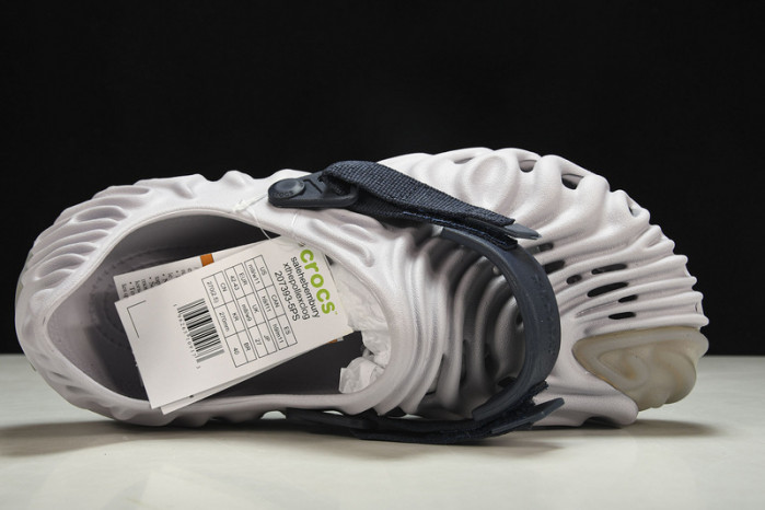 Cr0c5 pollex clog “urchin” cp-1